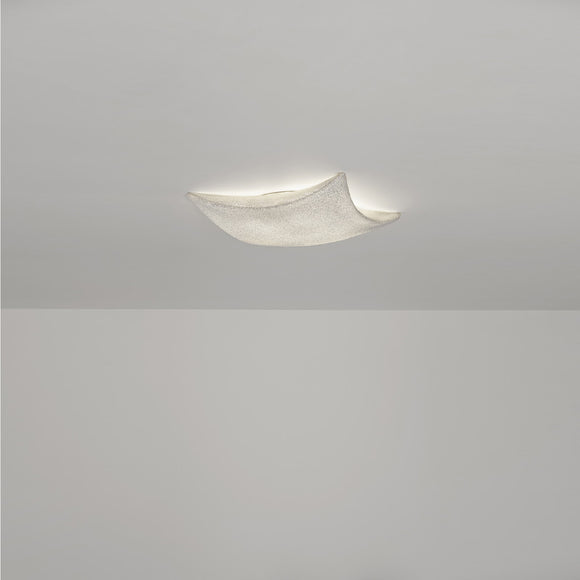 Kite Wall or Ceiling Light