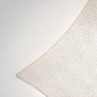 Kite Wall or Ceiling Light