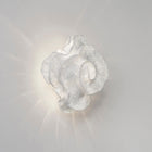 Nevo Wall or Ceiling Light