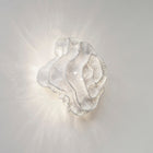 Nevo Wall or Ceiling Light