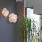 Nevo Wall or Ceiling Light