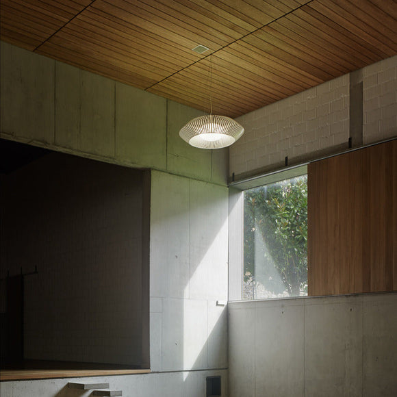V Pendant Light