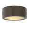 Luna Indoor / Outdoor Flush Mount  option Bronze
