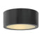 Luna Indoor / Outdoor Flush Mount  option Satin Black