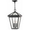 Alford Place Outdoor Hanging Light  option Museum Black