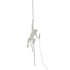 The Monkey Lamp Ceiling Version