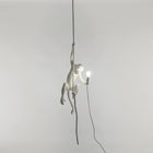 The Monkey Lamp Ceiling Version