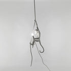 The Monkey Lamp Ceiling Version