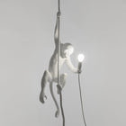 The Monkey Lamp Ceiling Version