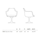 Tulip Armchair