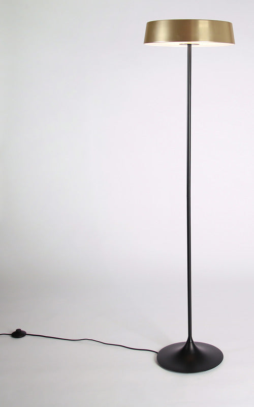 China LED Floor Lamp