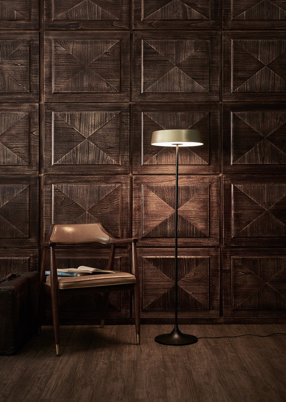 China LED Floor Lamp