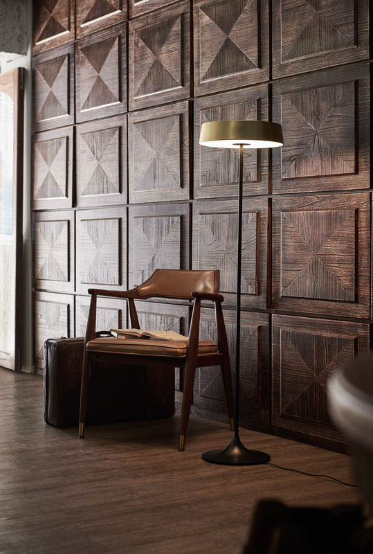 China LED Floor Lamp