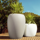 Blow Planters - Self-Watering System
