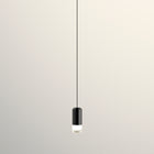 Wireflow Free-Form Pendant Light