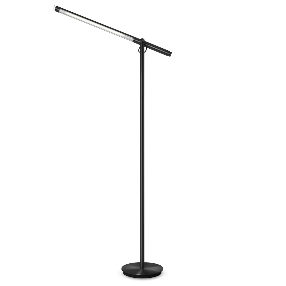 Brazo Floor Lamp