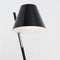 La Petite Floor Lamp  option Polished Black