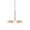 Bola Disc Pendant Light  option Rose Gold