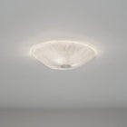 Onn Ceiling / Wall Light