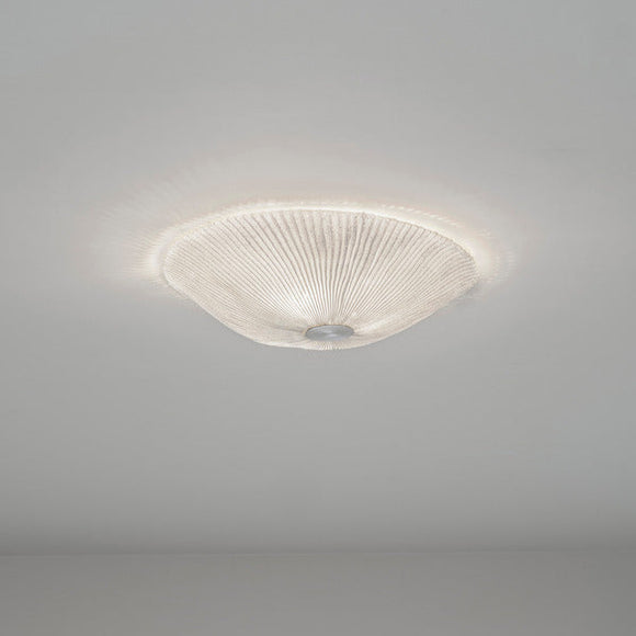 Onn Ceiling / Wall Light