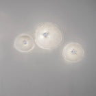 Onn Ceiling / Wall Light