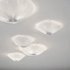 Onn Ceiling / Wall Light