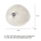 Onn Ceiling / Wall Light