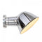 Ginger Wall Light  option Chrome