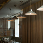Codie Pendant Light