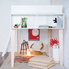 Perch Loft Bed Shelf