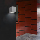 Aede Wall Light
