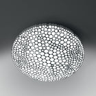 Calipso Wall/Ceiling Light