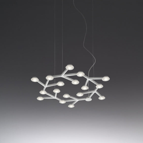 LED Net Circle Suspension Light