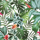 Rainforest Removable Wallpaper