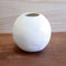 Sphere Vase  option Matte White
