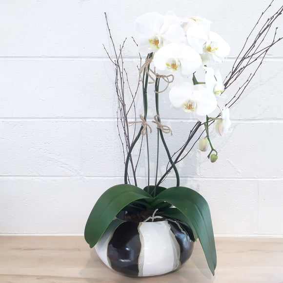 sphere plant pot Alex Marshall Studios Sphere Planter