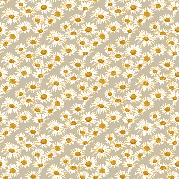 Daisies Wallpaper Sample Swatch