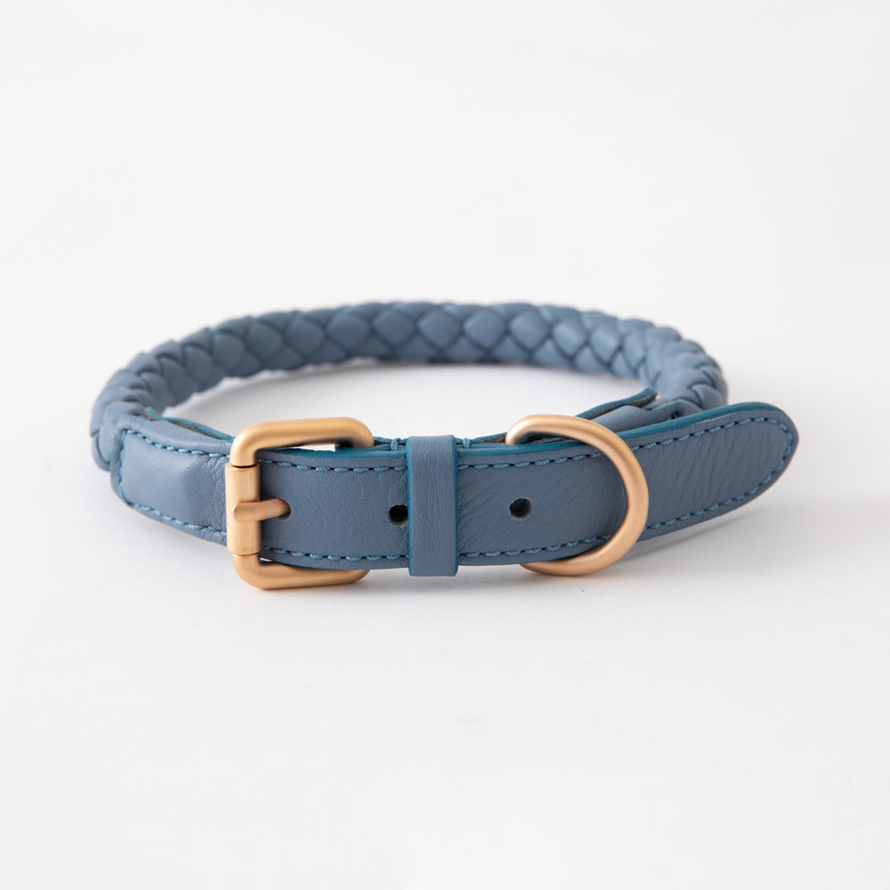Ferdinando Dog Collar