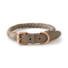 Ferdinando Dog Collar
