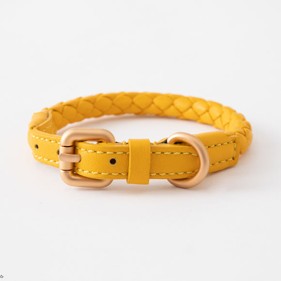 Ferdinando Dog Collar