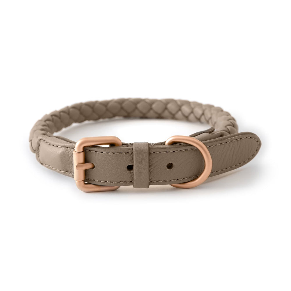 Ferdinando Dog Collar Set