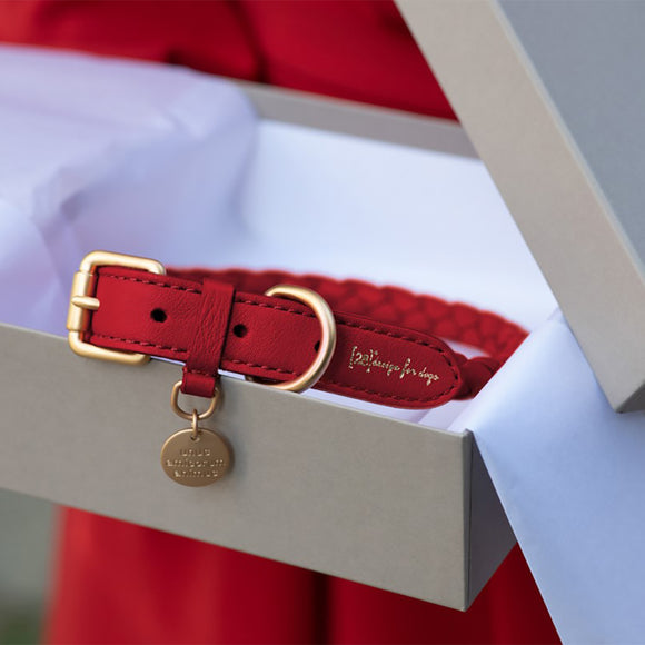 Ferdinando Dog Collar