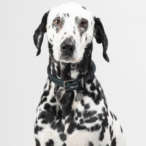 2.8 Design for Dogs Ferdinando Dog Collar in Blue/Bronze, Size Large: 16.5 - 19.7 Diameter