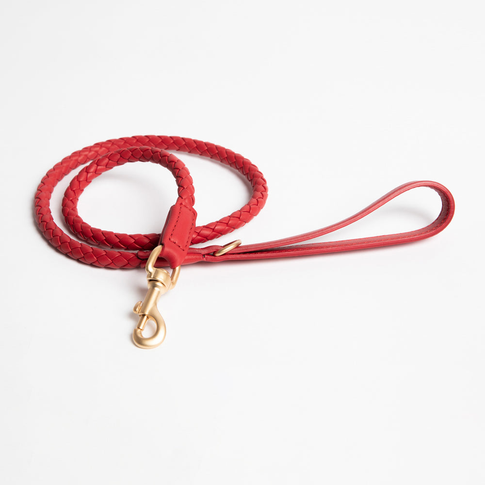 Ferdinando Dog Leash