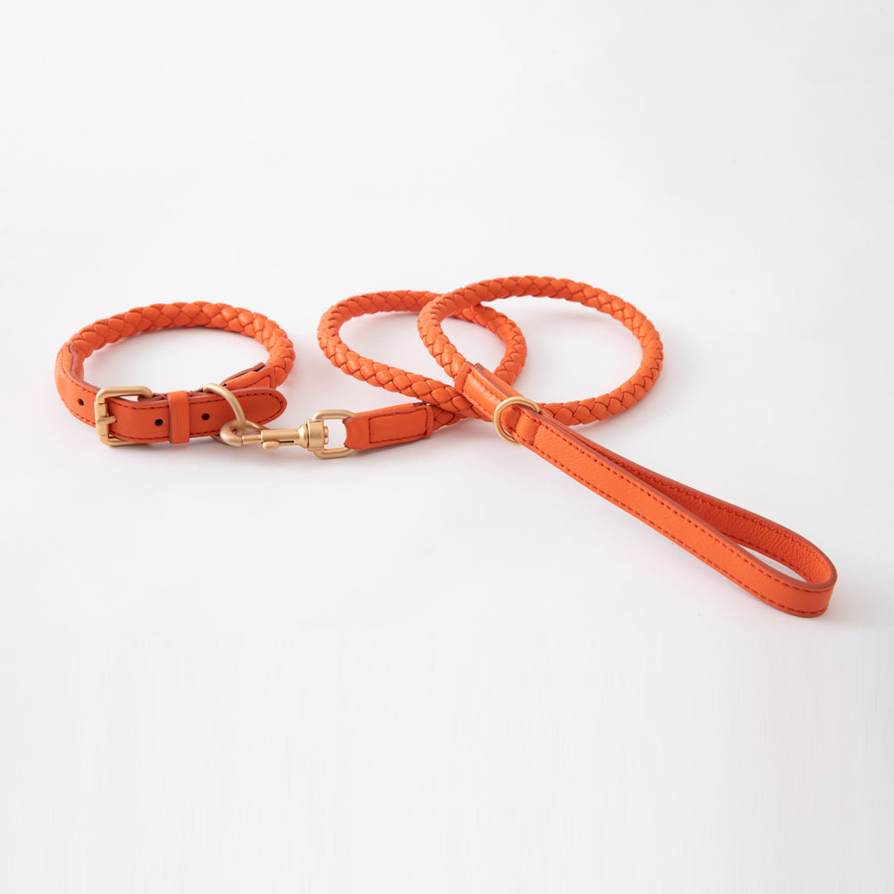 Ferdinando Dog Leash