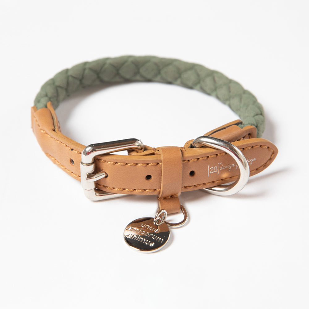 Ferdinando Microfiber Dog Collar Set