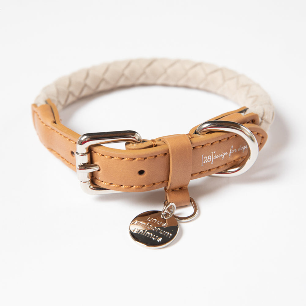 Ferdinando Microfiber Dog Collar Set