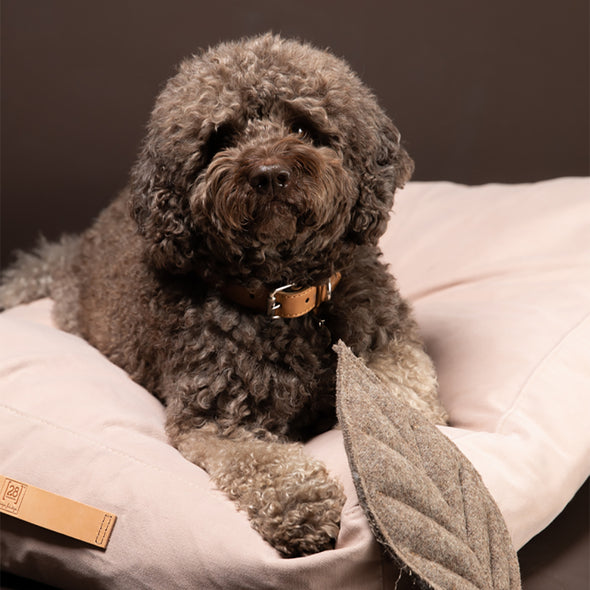 Ferdinando Microfiber Dog Collar