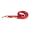 Mario Training Leash  option Cheeky Red