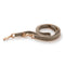 Mario Training Leash  option Lazy Taupe